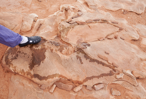 A Diner Discovered 100 million-year-old Dinosaur Footprints In A Restaurant